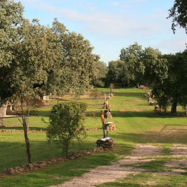 camping-las-grullas-benquerencia-2rwsi