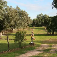 camping-las-grullas-benquerencia-2rwsi