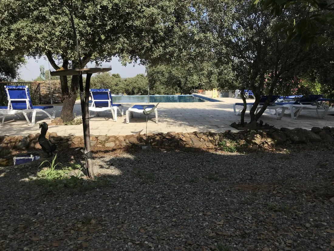 camping-las-grullas-benquerencia-kchve