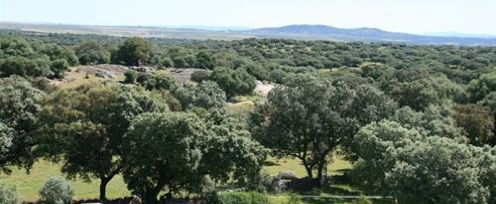 Camping Las Grullas