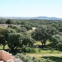 camping-las-grullas-benquerencia-q1cl1