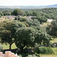 camping-las-grullas-benquerencia-sukmt