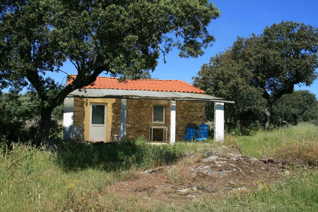 camping-las-grullas-benquerencia-ucmsk