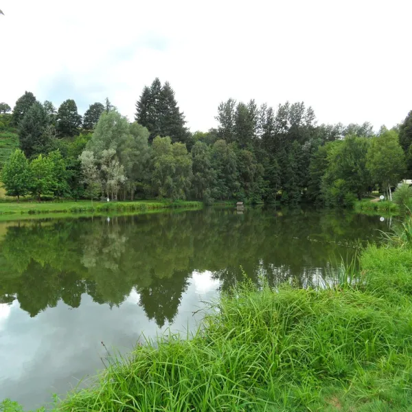flower-camping-le-paluet-matour-wl5zn