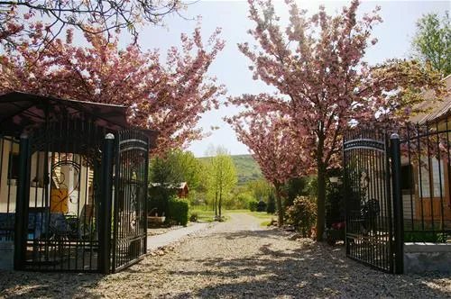 camping-route-roemenie-minis-qj03h