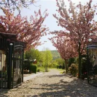 camping-route-roemenie-minis-qj03h