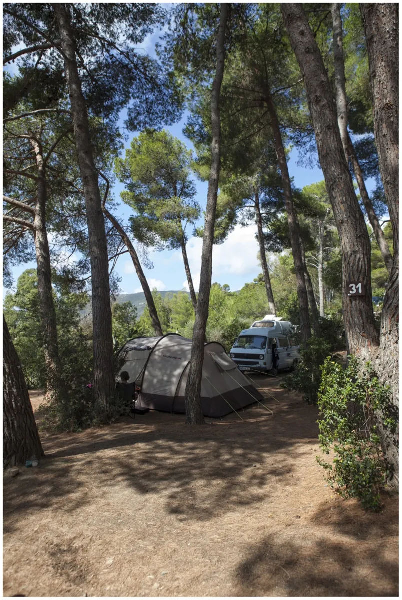 camping-orti-di-mare-capoliveri-lacona-li-0g0xw