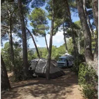 camping-orti-di-mare-capoliveri-lacona-li-0g0xw
