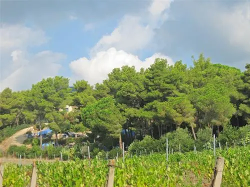 camping-orti-di-mare-capoliveri-lacona-li-1w0gb