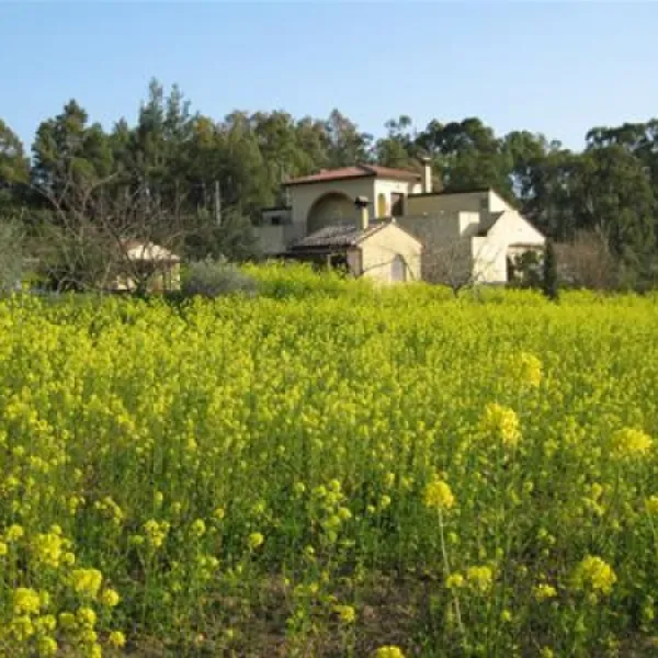 camping-orti-di-mare-capoliveri-lacona-li-hzaxc