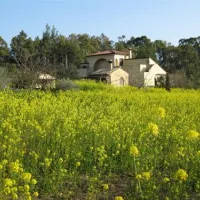 camping-orti-di-mare-capoliveri-lacona-li-hzaxc