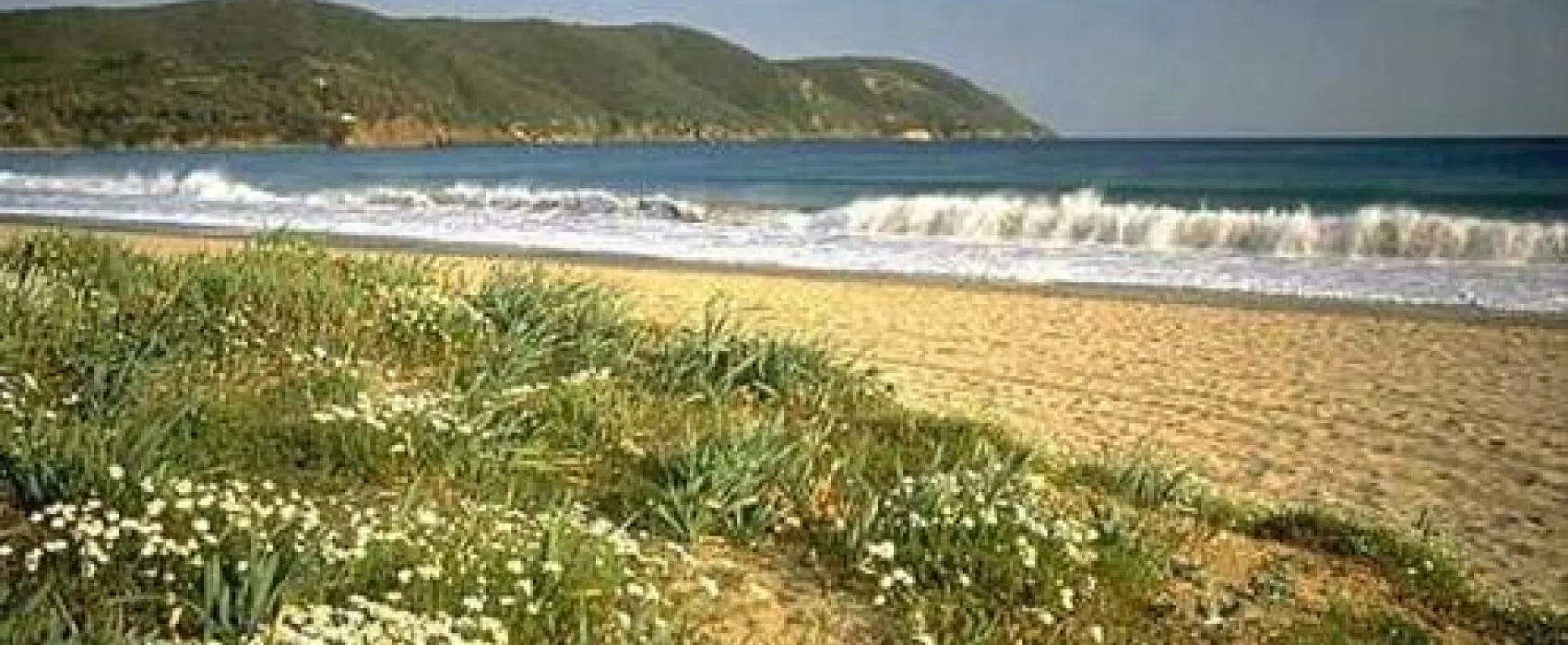 Camping Orti di Mare