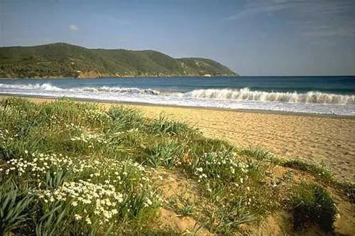camping-orti-di-mare-capoliveri-lacona-li-rxtjc