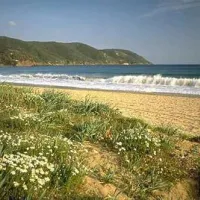 Camping Orti di Mare
