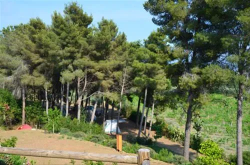 camping-orti-di-mare-capoliveri-lacona-li-sg4bi