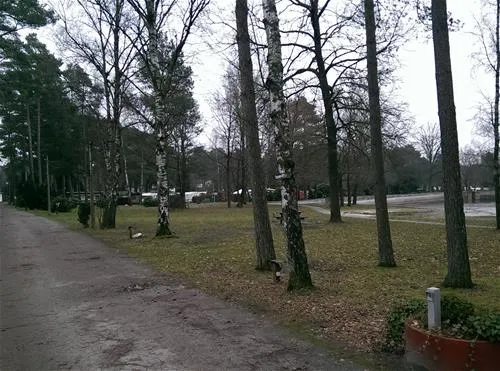 campingplatz-holm-seppensen-buchholznordheide-9828r