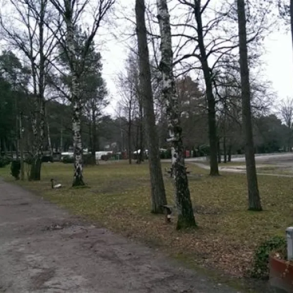 campingplatz-holm-seppensen-buchholznordheide-9828r
