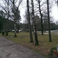 Campingplatz Holm Seppensen