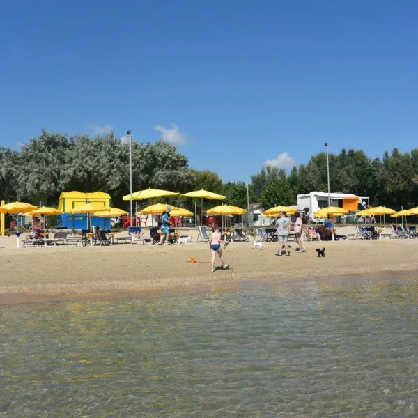 campeggio-gilda-roseto-degli-abruzzi-njqvw