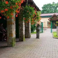 camping-nr-183-kudowa-zdrj-gbaji