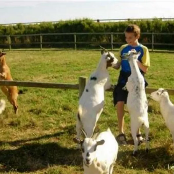 camping-le-cormoran-ravenoville-plage-o6wno