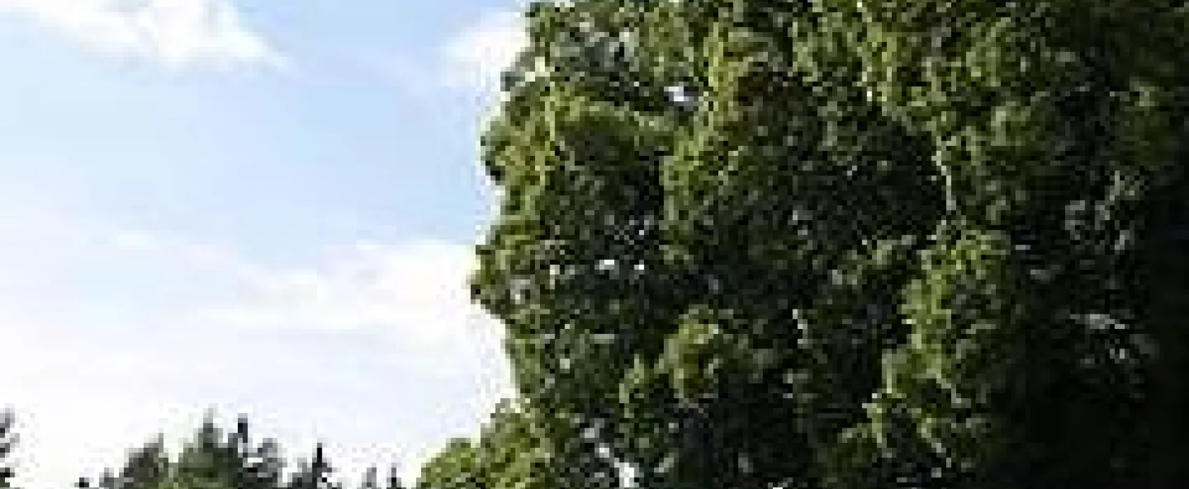 Camping Schurrenhof