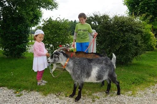 campingoase-rottal-pfarrkirchen-yws4c