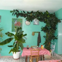 camping-les-casteillets-st-jean-pla-de-corts-fhy1m