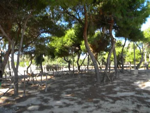 agricampeggio-capo-scalambri-santa-croce-camerina-asksx