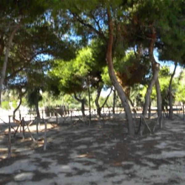 agricampeggio-capo-scalambri-santa-croce-camerina-asksx