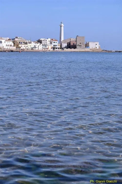 agricampeggio-capo-scalambri-santa-croce-camerina-qcojb