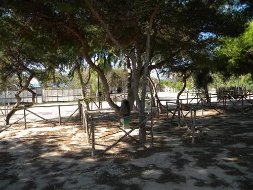 agricampeggio-capo-scalambri-santa-croce-camerina-rlzcv