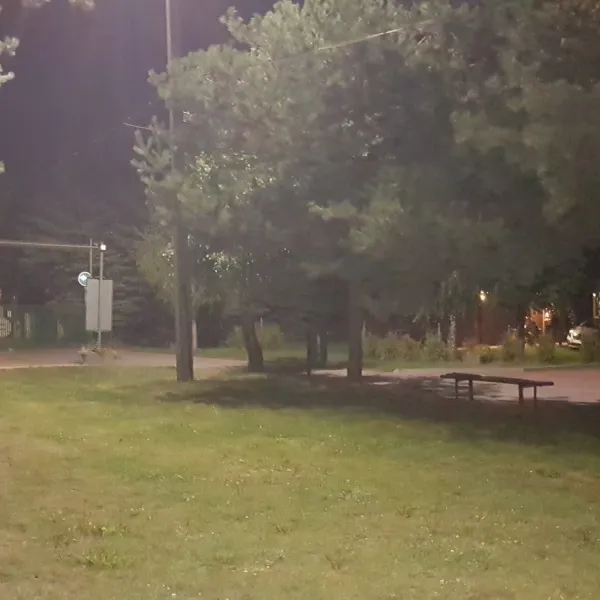 Camping Suchedniów (140)