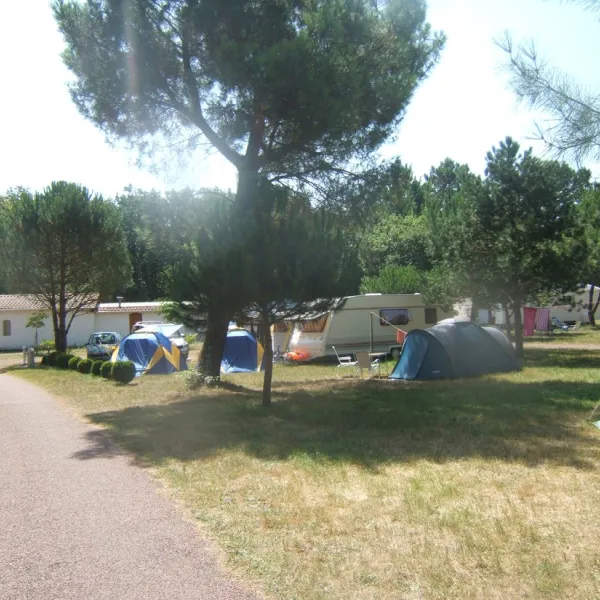 Camping Atlantique-foret