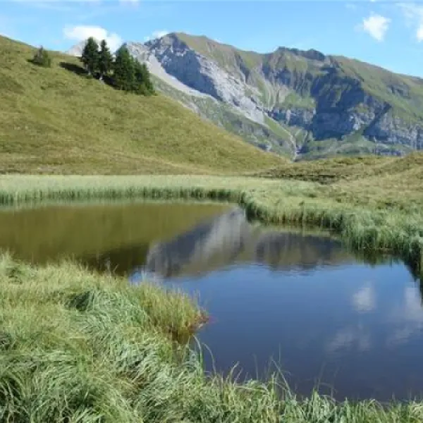 panorama-camping-sonnenberg-nziders-p8gtq