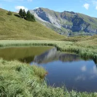 panorama-camping-sonnenberg-nziders-p8gtq