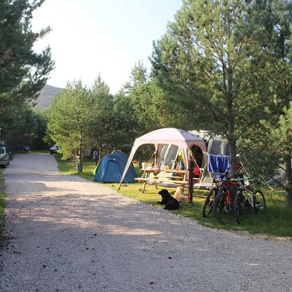 dalraddy-holiday-park-aviemore-fvabp