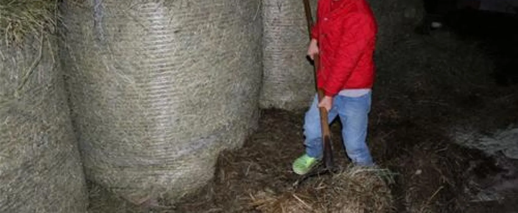 Camping Biohof Unteregg
