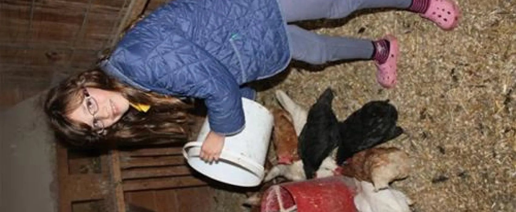 Camping Biohof Unteregg