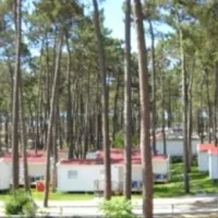 parque-de-campismo-do-valadoorbitur-nazar-rdcnh