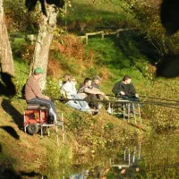 sites-et-paysages-etang-de-la-fougeraie-saint-lger-de-fougeret-7sow7
