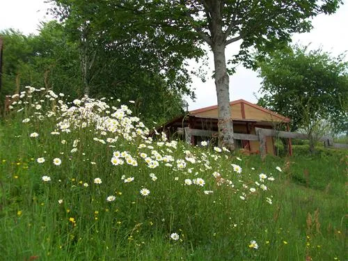 sites-et-paysages-etang-de-la-fougeraie-saint-lger-de-fougeret-ruzsf