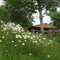 sites-et-paysages-etang-de-la-fougeraie-saint-lger-de-fougeret-ruzsf