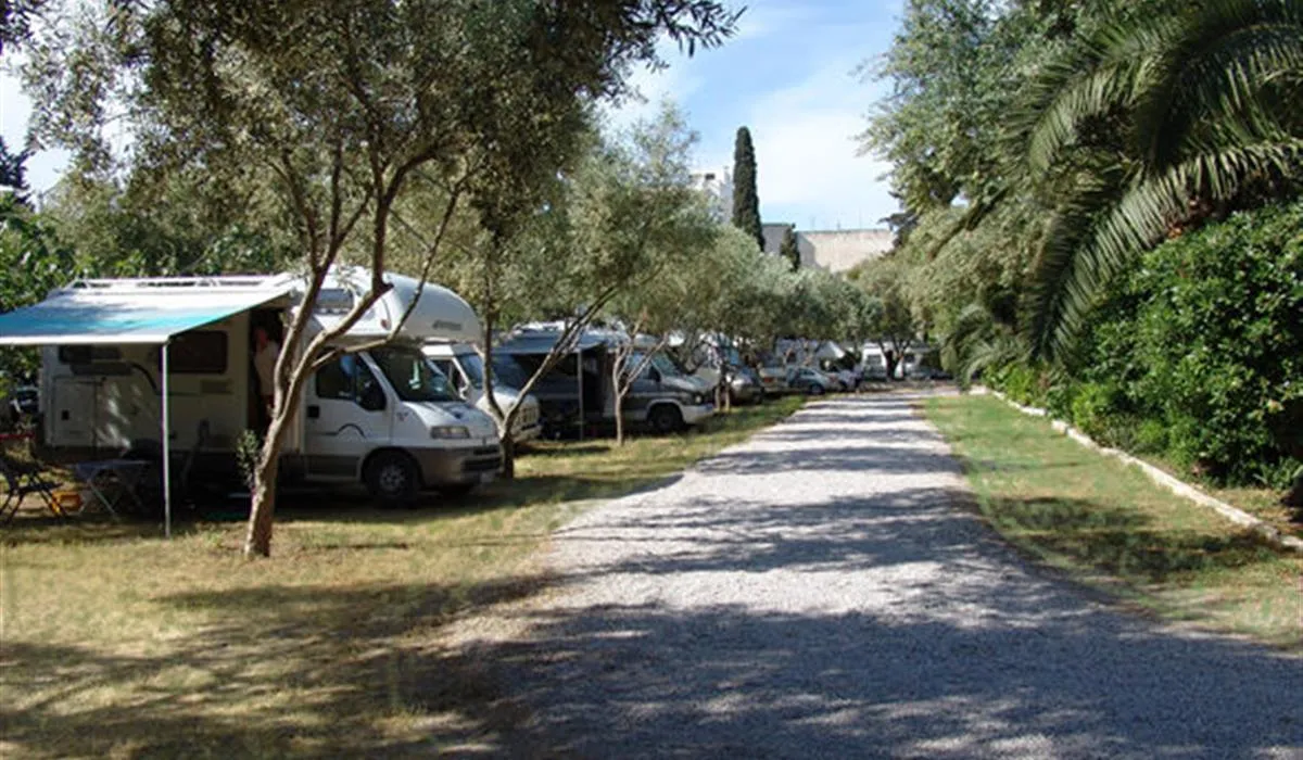 campsite-athens-athene-tyekx