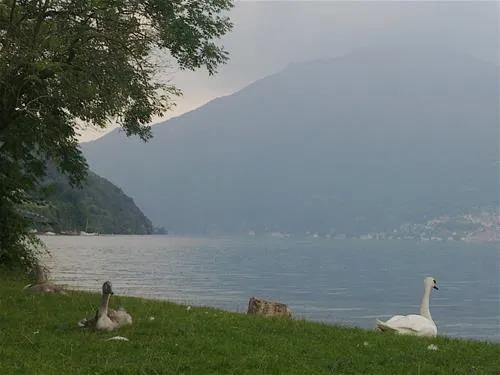 campeggio-ai-colli-fioriti-castiglione-dintelvi-cawxq