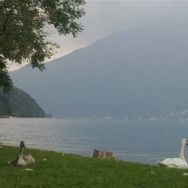 campeggio-ai-colli-fioriti-castiglione-dintelvi-cawxq