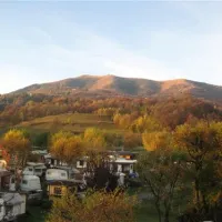 Campeggio ai Colli Fioriti