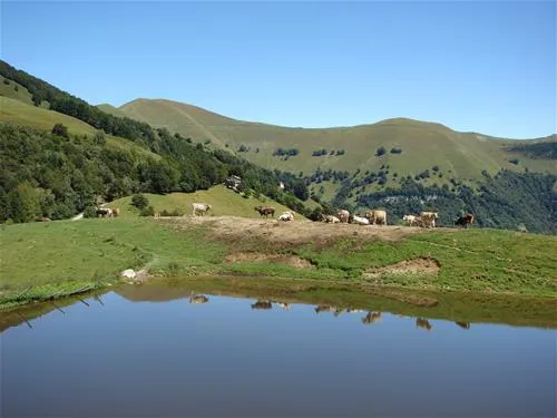 campeggio-ai-colli-fioriti-castiglione-dintelvi-jfokm