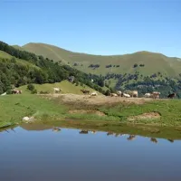 campeggio-ai-colli-fioriti-castiglione-dintelvi-jfokm