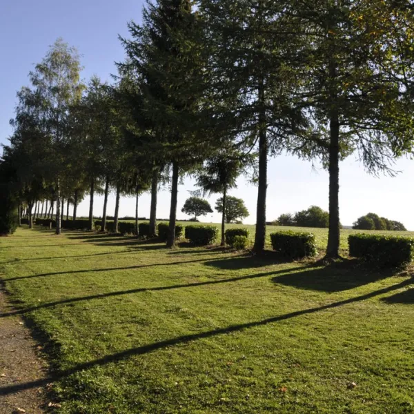 camping-um-bierg-tarchamps-vssnq